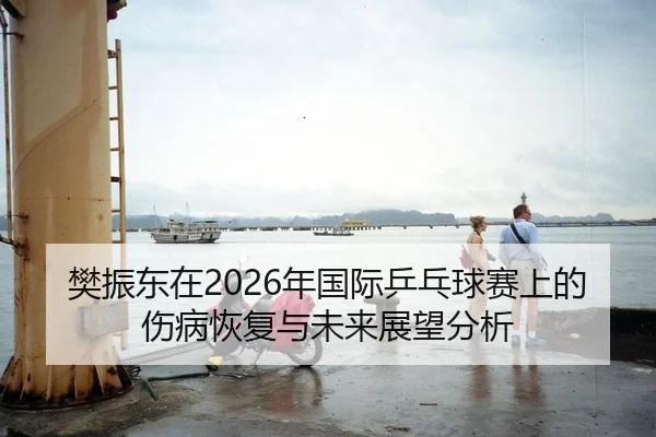 樊振东在2026年国际乒乓球赛上的伤病恢复与未来展望分析