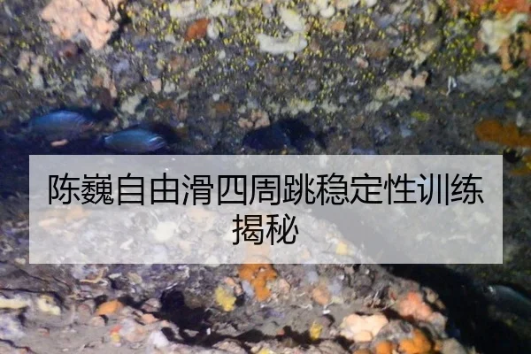 chen-wei-zi-you-hua-si-zhou-tiao-wen-ding-xing-xun-lian-jie-mi-2-641.jpg