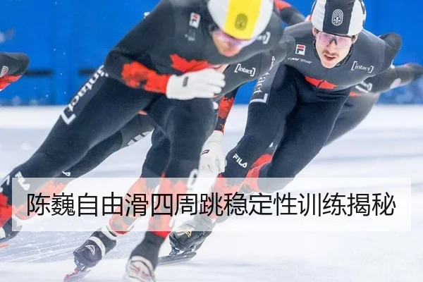 chen-wei-zi-you-hua-si-zhou-tiao-wen-ding-xing-xun-lian-jie-mi-3-929.jpg
